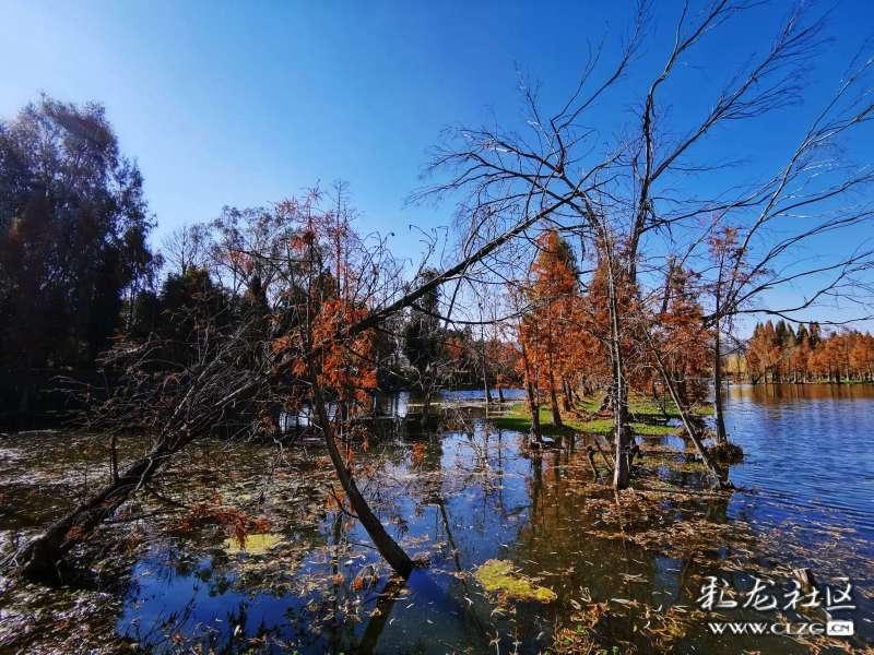 【融中早报】董宇辉新账号直播间被指抄袭 多个侮辱诽谤格力自媒体遭处罚